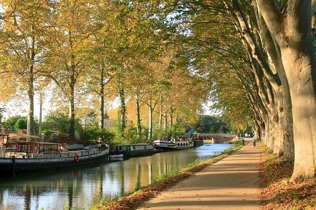 canaldumidi tolosa árboles otoño 1