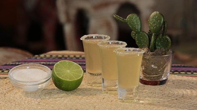 vida nocturna en coyoacan