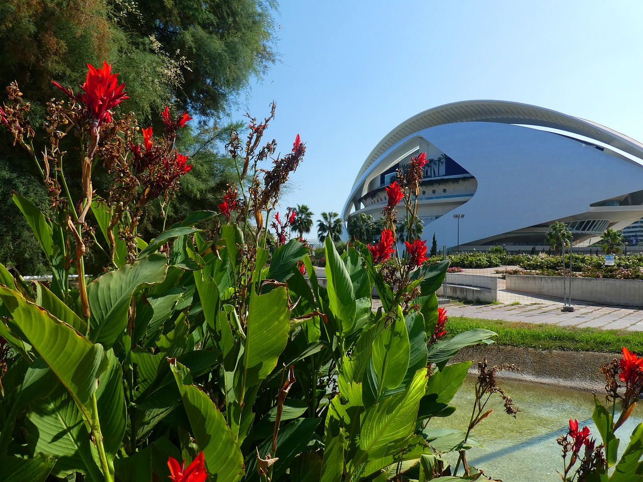 jardines del turia valencia españa