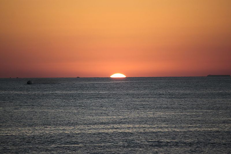 puesta de sol en el árbol del sol en lampedusa
